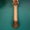 ostrich wall head