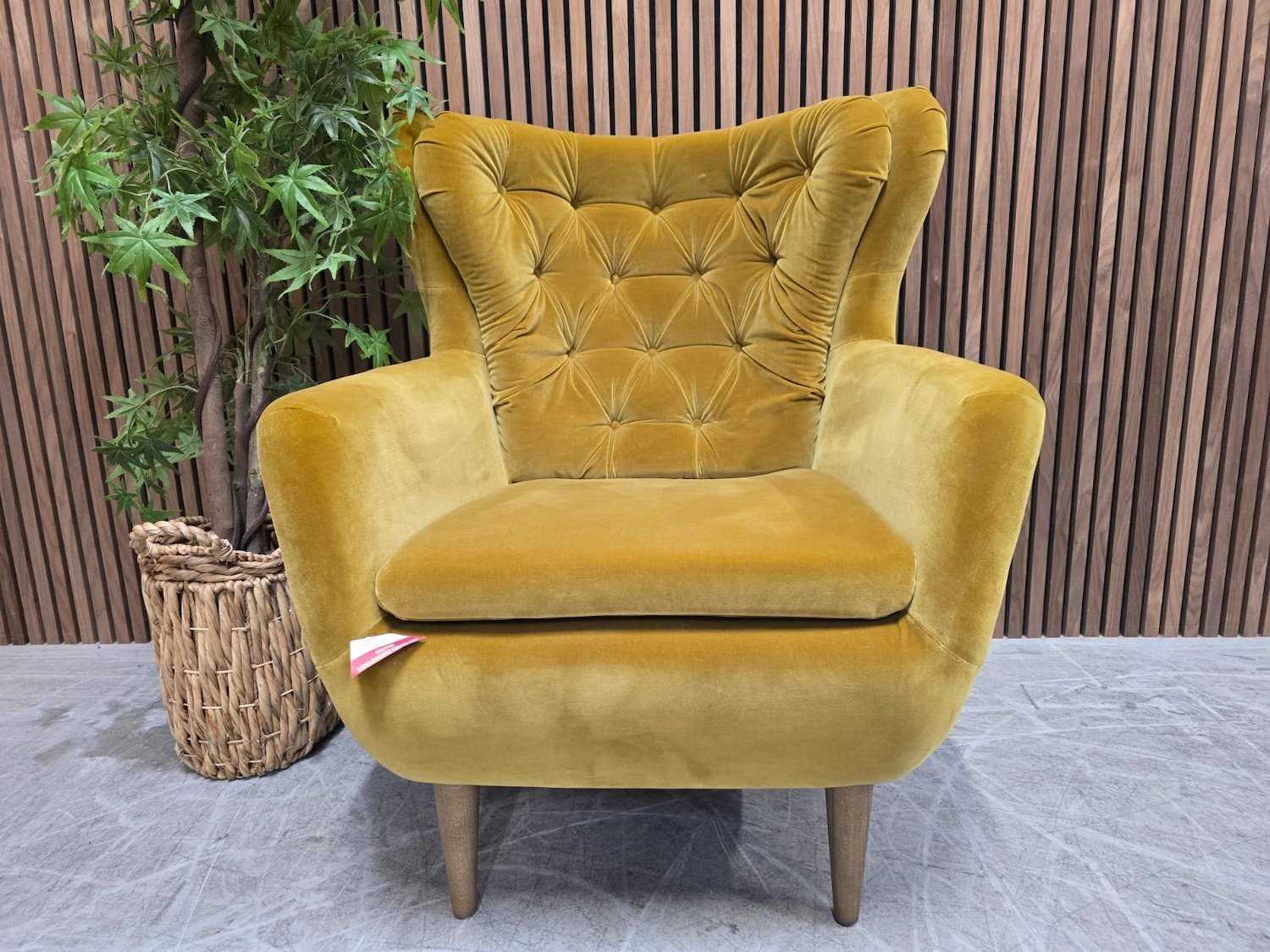 ernest buttoned armchair in nerfetti cotton velvet