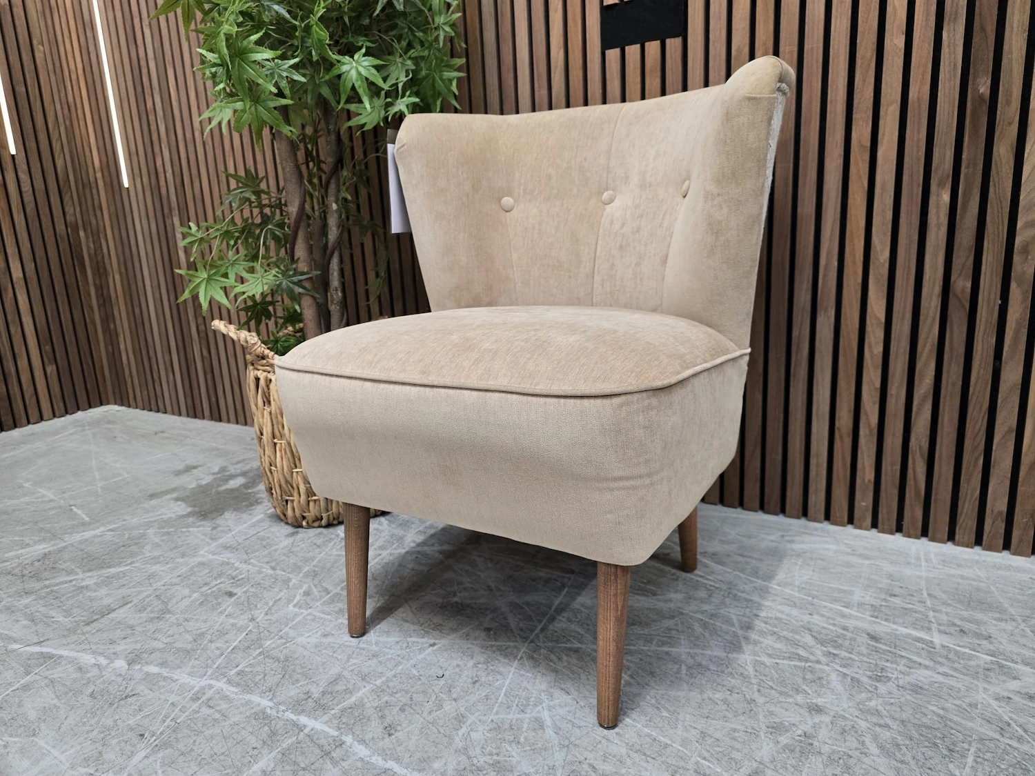betty armchair in gull 1