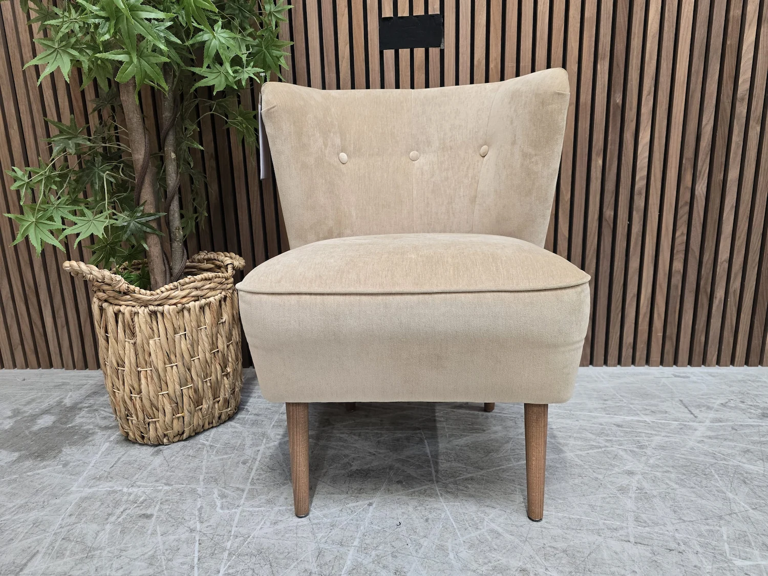 betty armchair in gull 2