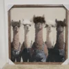 Llama's In Dungarees Framed Wall Art